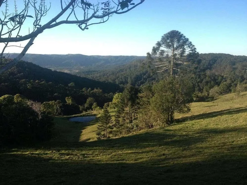 Jacaranda Cottages Witta Australien