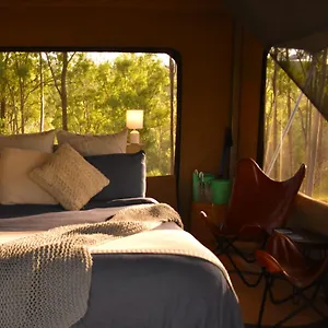 Ketchup's Bank Glamping Boonah