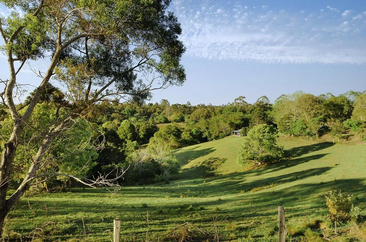 Jacaranda Cottages Witta